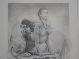 Exposición el tiempo de la Crisálida